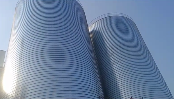 大田2座混凝土高架卷板仓